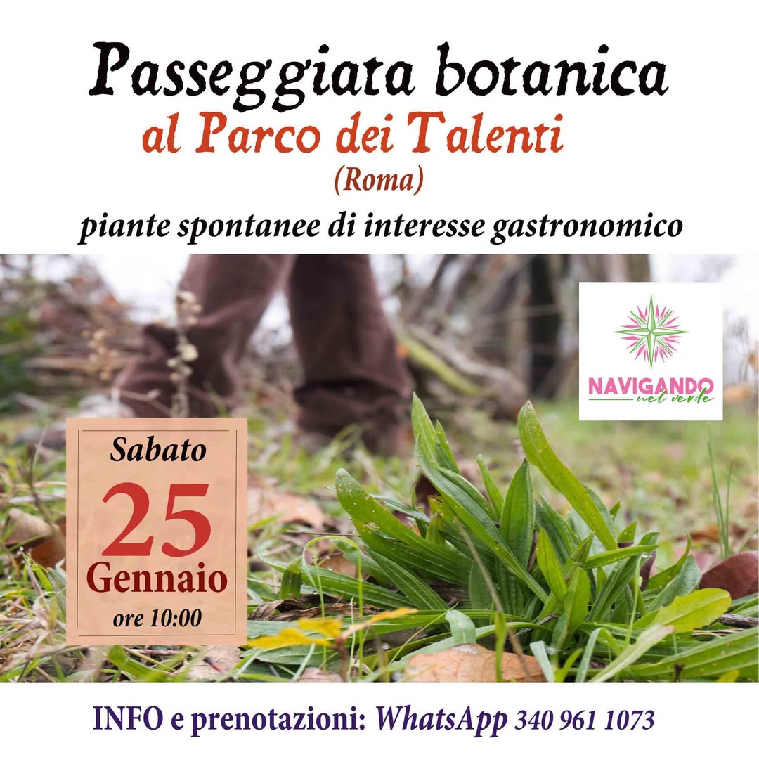 Passeggiata botanica al Parco dei Talenti (Roma)