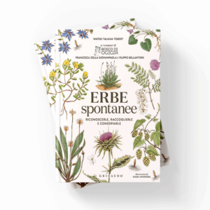 Erbe spontanee. Riconoscerle, raccoglierle e conservarle