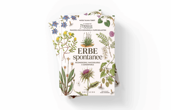 Erbe spontanee. Riconoscerle, raccoglierle e conservarle