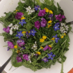insalata-selvatica2